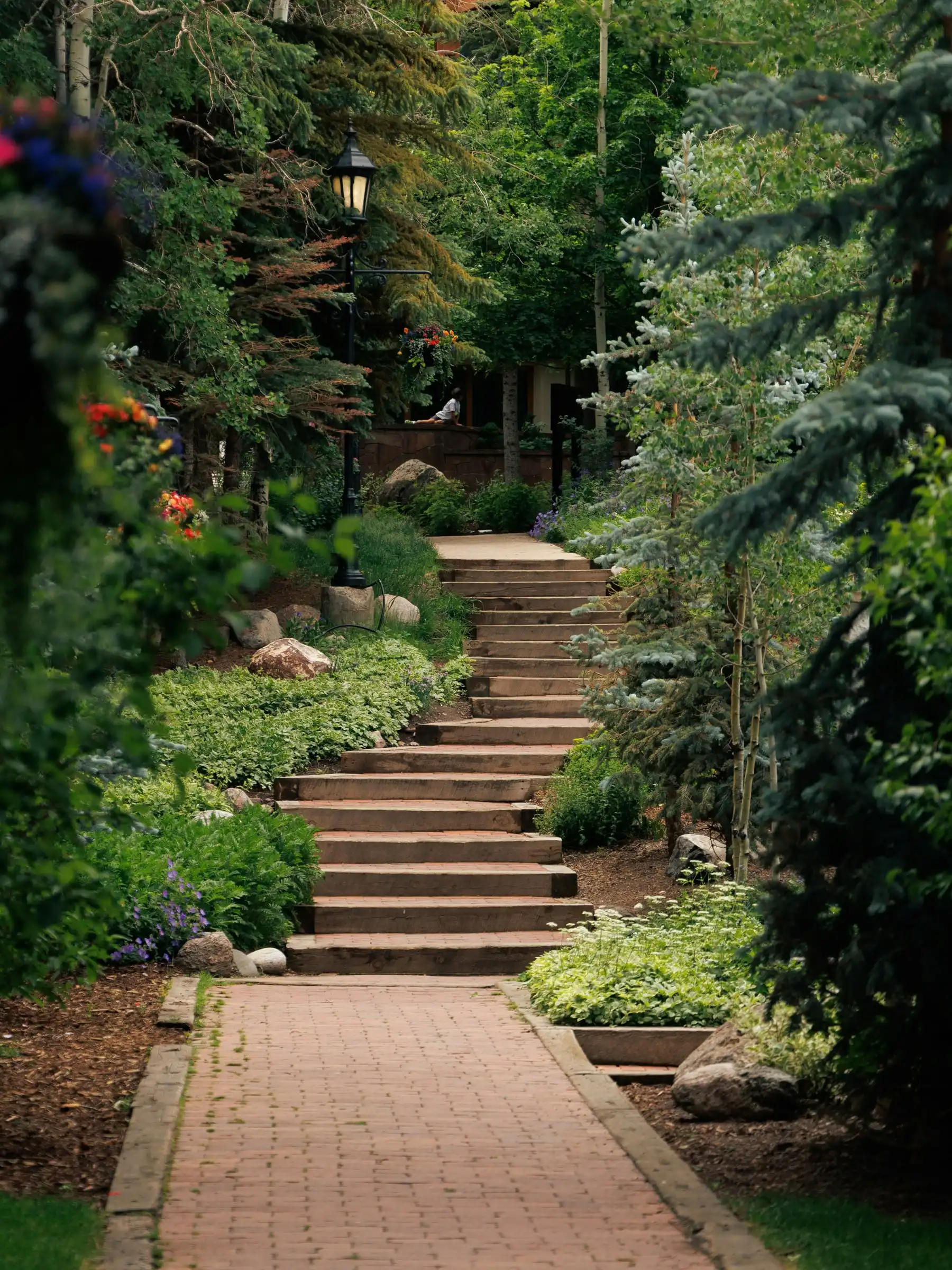 Timber sleeper steps climbing a steep, densely planted bank