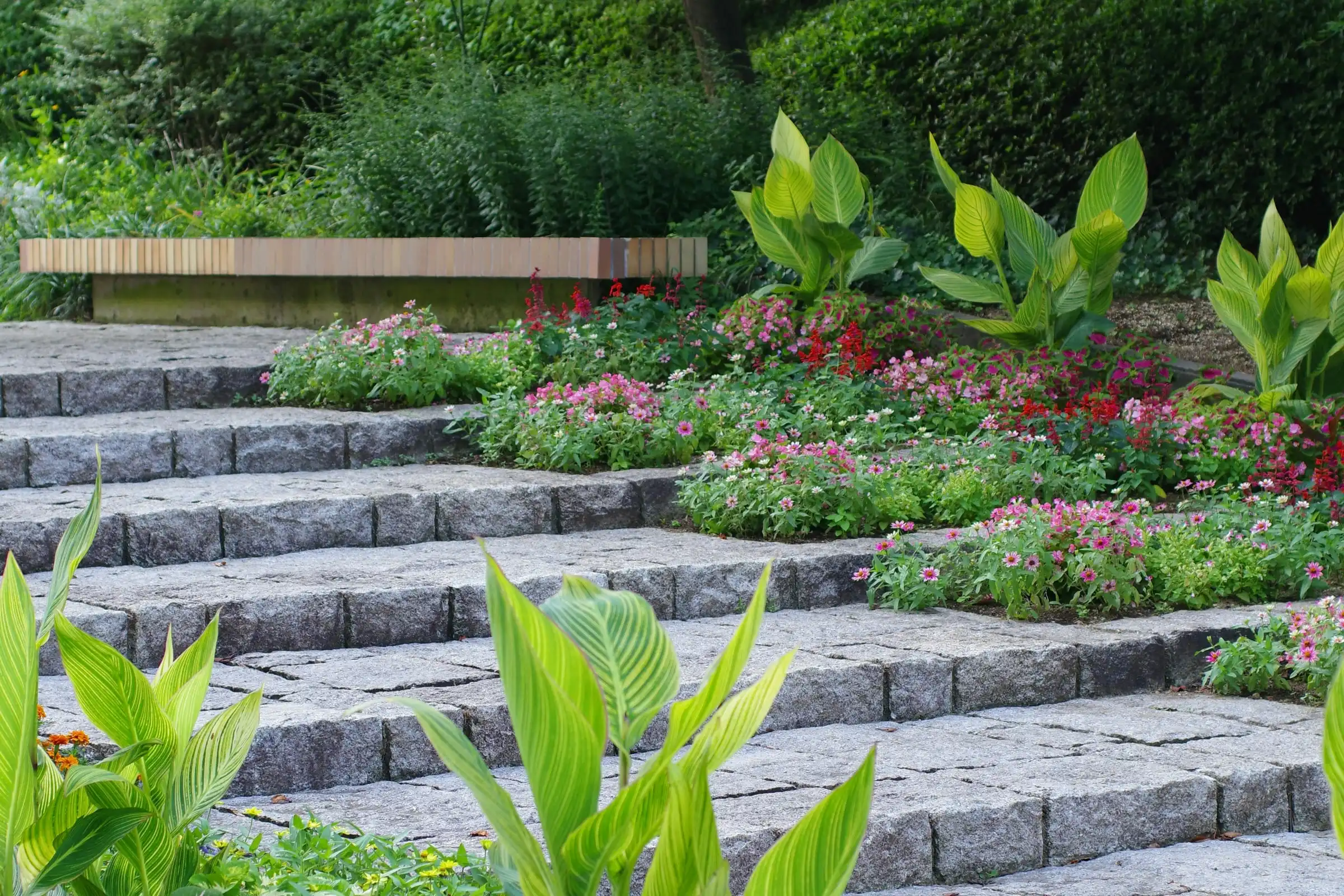 Granite block steps laid in a staircase between beds of pink and red flowers and canna leaves