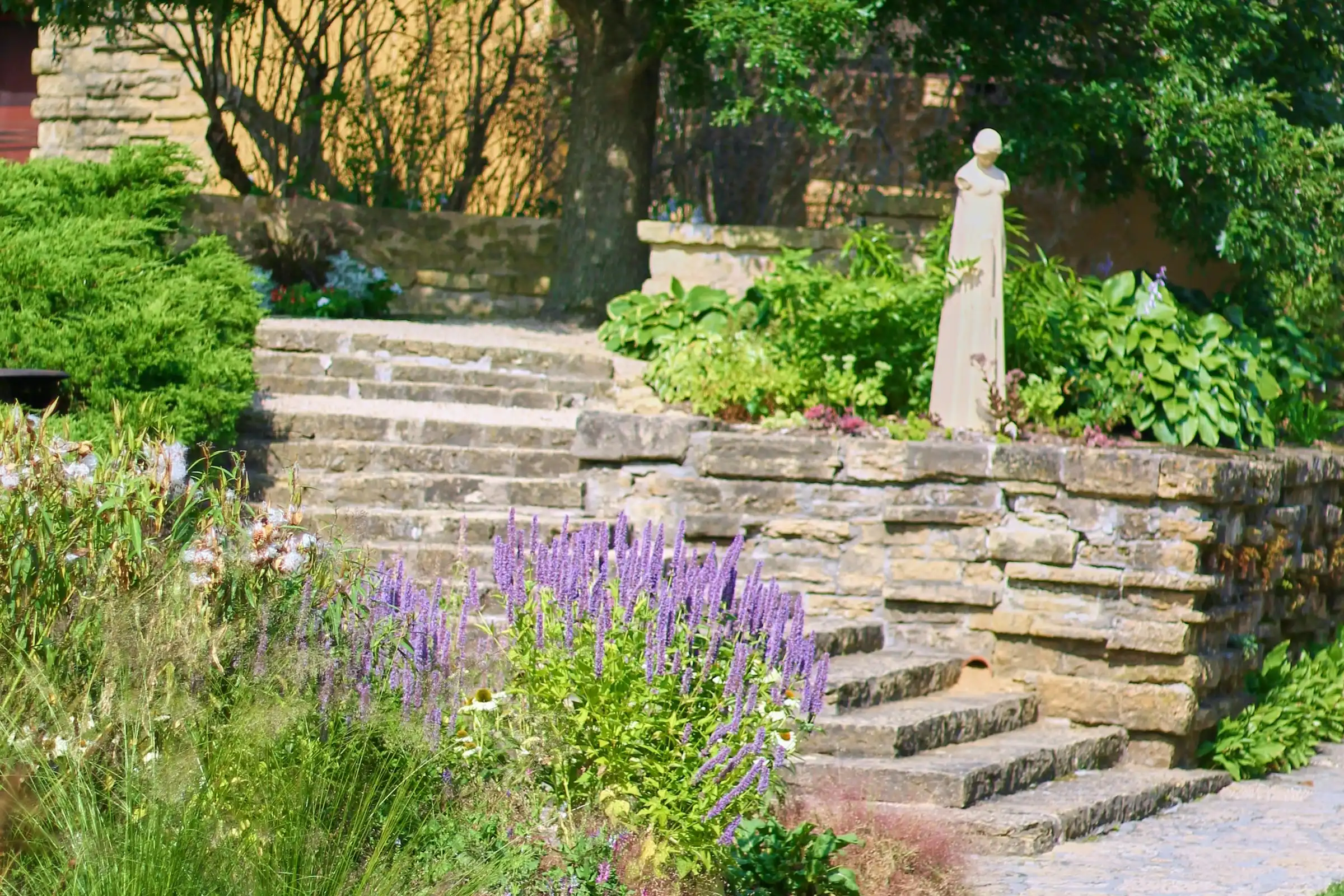 Terraced stone retaining walls and steps with purple salvia planted at the base